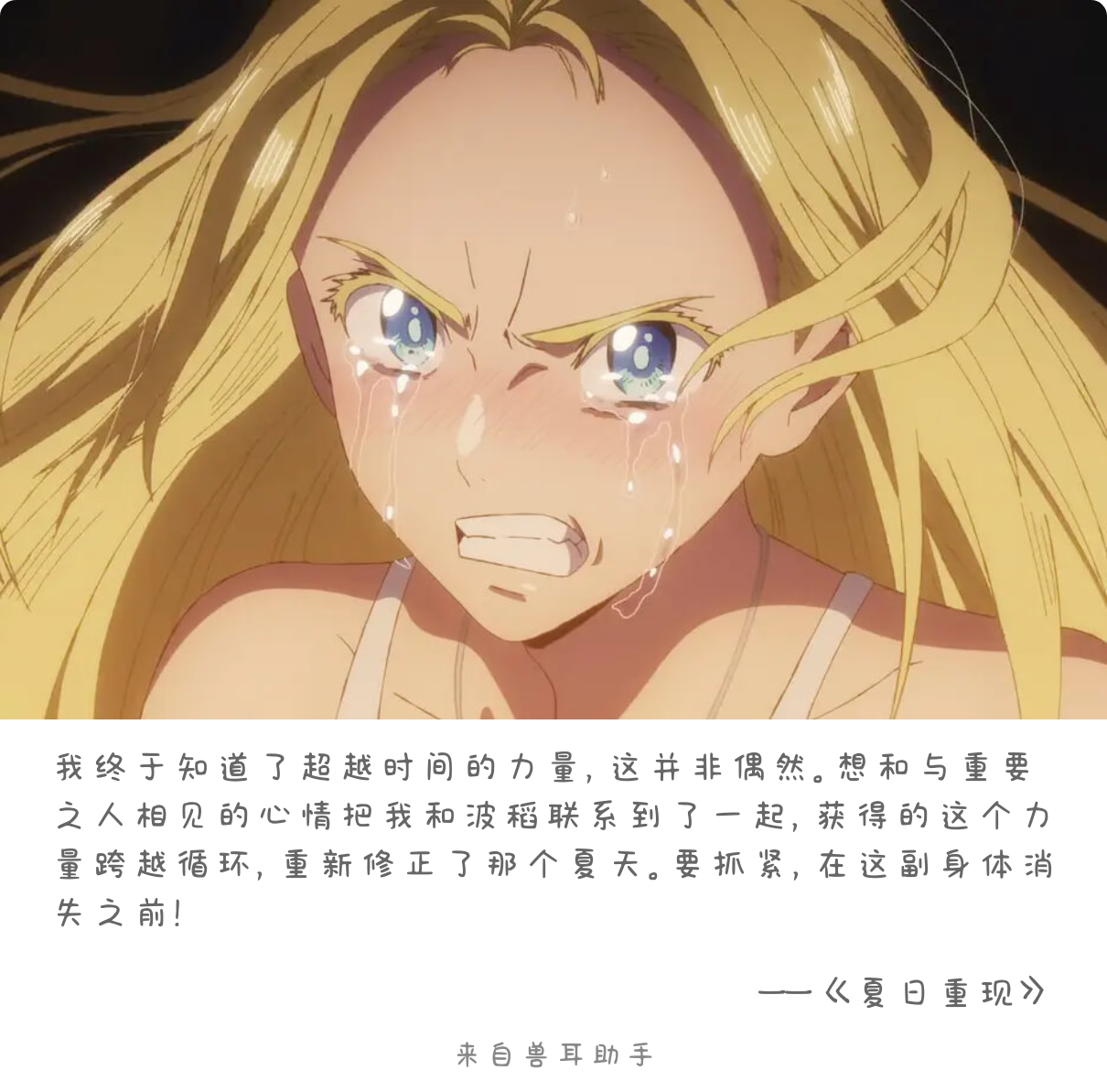 2026-08-22-card-mimikko.png